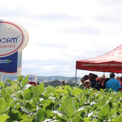 Os Dias de Campo da Coocam são momentos de aproximação entre a cooperativa e o produtor rural/Foto: Assessoria de Imprensa