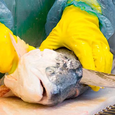 O valor das exportações catarinenses de pescado totalizou US$ 26