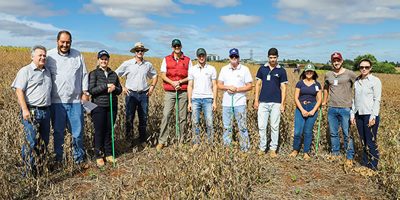 A avaliação técnica foi efetuada nos 75 cultivares de soja semeados na área do Campo Demonstrativo da cooperativa