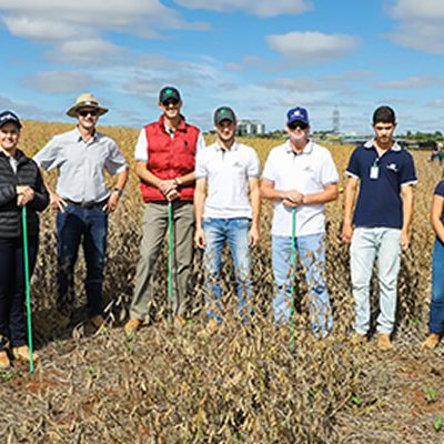 A avaliação técnica foi efetuada nos 75 cultivares de soja semeados na área do Campo Demonstrativo da cooperativa