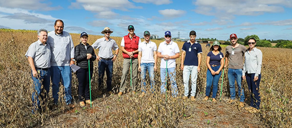 A avaliação técnica foi efetuada nos 75 cultivares de soja semeados na área do Campo Demonstrativo da cooperativa