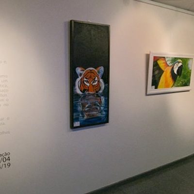 A exposição fica aberta para visitação até o dia 19 de abril no Espaço Didático Cultural