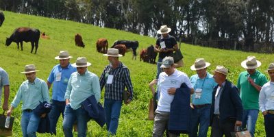 O principal objetivo do sistema sindical rural é a defesa dos direitos