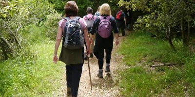 Caminhada objetiva estimular a prática de exercícios físicos