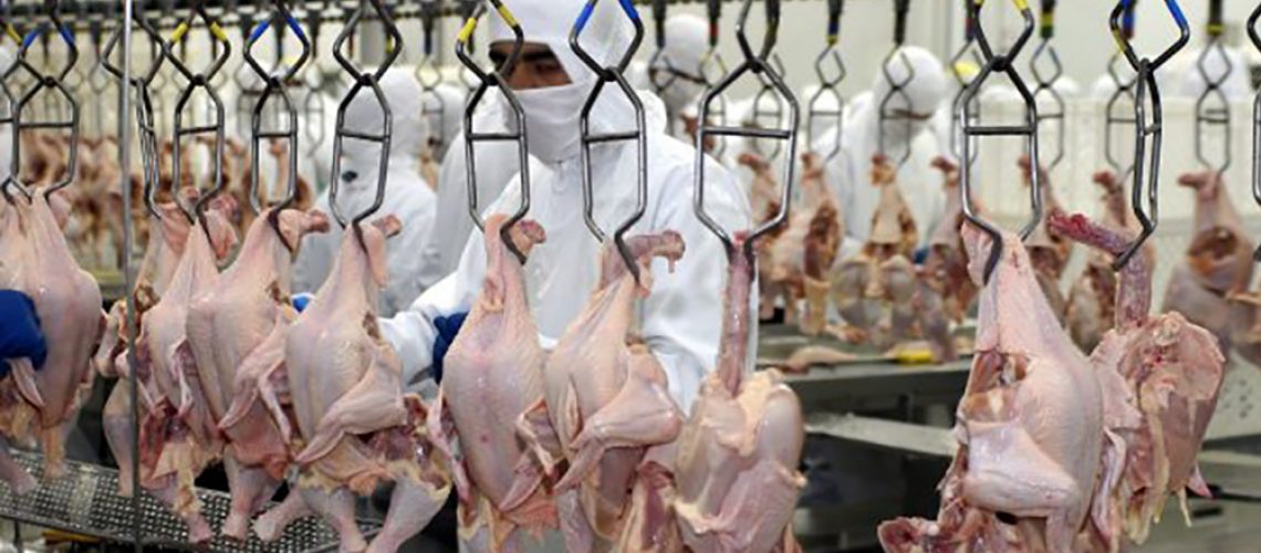Santa Catarina exportou mais de um milhão de toneladas de carne de frango em 2021