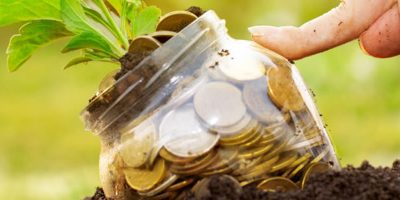 Os defensivos ou agrotóxicos são insumos indispensáveis para se obter