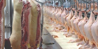 Esta é uma ação importante para manter a competitividade da agroindústria catarinense/Foto: Divulgação Internet
