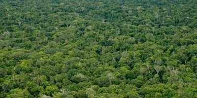Mais de 220 mil agricultores