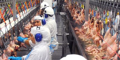 A participação da carne de frango na pauta cambial apresentou incremento dos mais significativos/Foto: Divulgação Internet