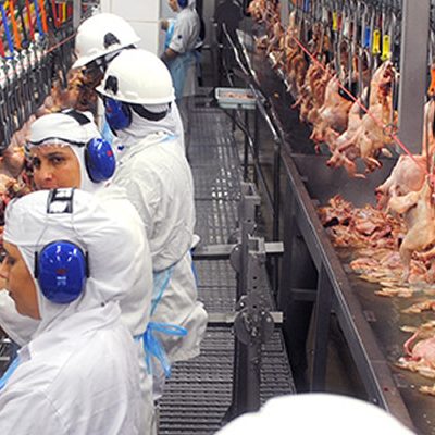 A participação da carne de frango na pauta cambial apresentou incremento dos mais significativos/Foto: Divulgação Internet