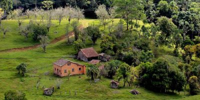 A má qualidade da energia elétrica na zona rural e o preço cobrado pelo consumo encarecem a produção/Foto: Divulgação Internet