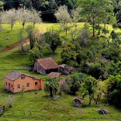 A má qualidade da energia elétrica na zona rural e o preço cobrado pelo consumo encarecem a produção/Foto: Divulgação Internet