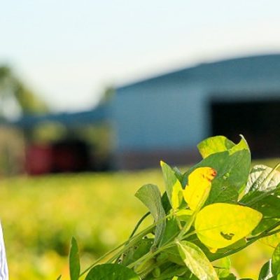 O empoderamento da mulher no agronegócio mundial tem impactos extremamente positivos/Foto: Divulgação Internet