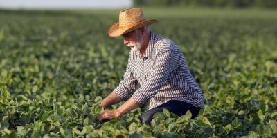 Dia do Agricultor (28/07)/Foto: Internet