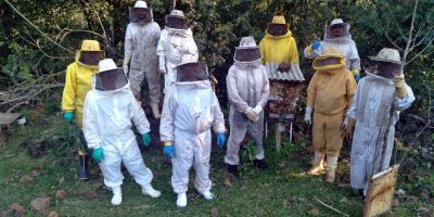 Apicultores do oeste aperfeiçoam e ampliam a produção de mel