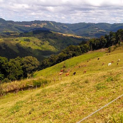 Estudos mapeiam bens e serviços de áreas rurais do Oeste catarinense