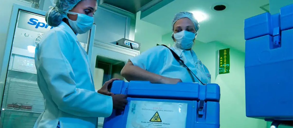Cartórios lançam autorização eletrônica para doação de órgãos/Foto: Divulgação Ministério da Saúde