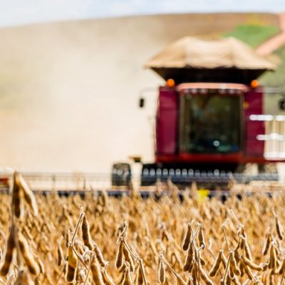 Produtores da Coocam estão na reta final da colheita