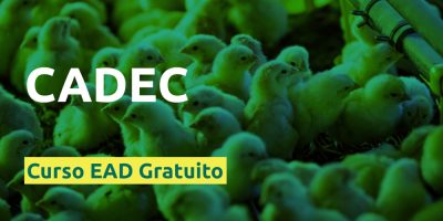 Curso CADEC gratuito capacita para o modelo de negócio do produtor integrado