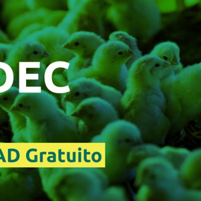 Curso CADEC gratuito capacita para o modelo de negócio do produtor integrado