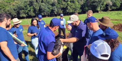 Alunos do Curso Técnico em Zootecnia de Joaçaba visitam propriedades de referência na bovinocultura de leite/Foto: Divulgação Sistema Faesc/Senar/Sindicatos)