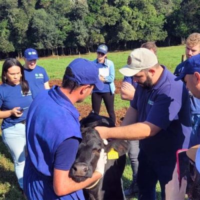 Alunos do Curso Técnico em Zootecnia de Joaçaba visitam propriedades de referência na bovinocultura de leite/Foto: Divulgação Sistema Faesc/Senar/Sindicatos)