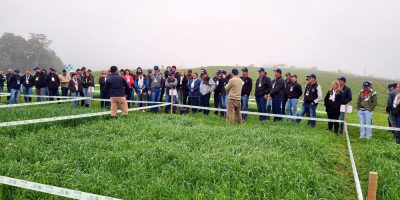 Dia de Campo em Pouso Redondo foi um sucesso