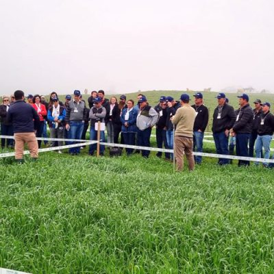 Dia de Campo em Pouso Redondo foi um sucesso