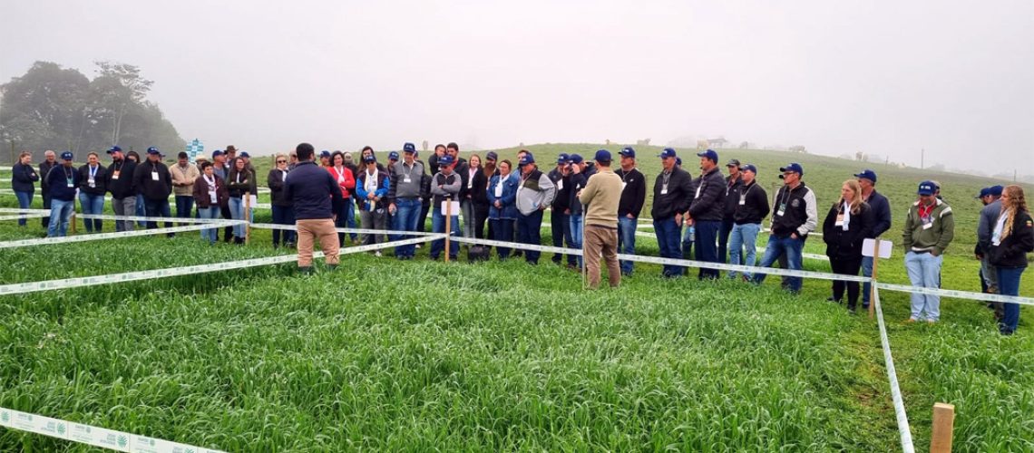 Dia de Campo em Pouso Redondo foi um sucesso