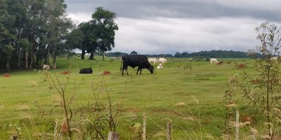 FAESC avalia de forma positiva atuação do Caoagro no combate ao crime no agronegócio/Foto: Evandro Novak-Bom Dia SC