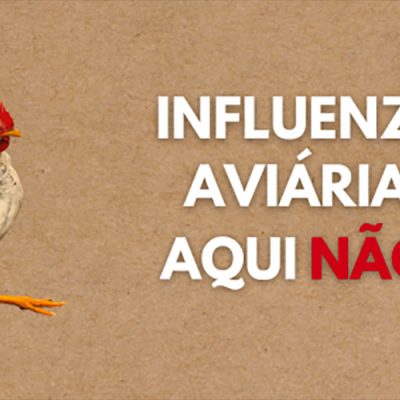 Medidas de prevenção da influenza aviária devem ser mantidas em todo o Estado de SC