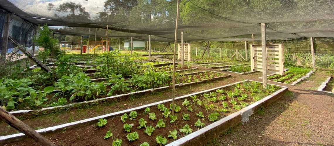 Nuperajo apresenta Projeto Horta Orgânica automatizada para comunidade de Joaçaba