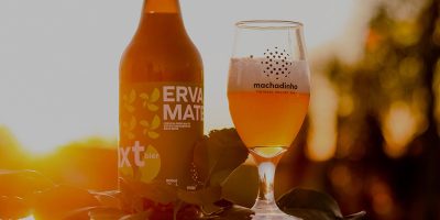 6º Festival da Cerveja acontece no próximo final de semana no Machadinho Thermas