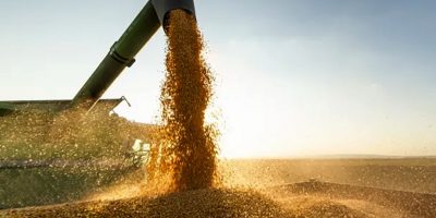Conab estima safra de grãos em 271,4 milhões de toneladas em 2021/22/Foto: Internet