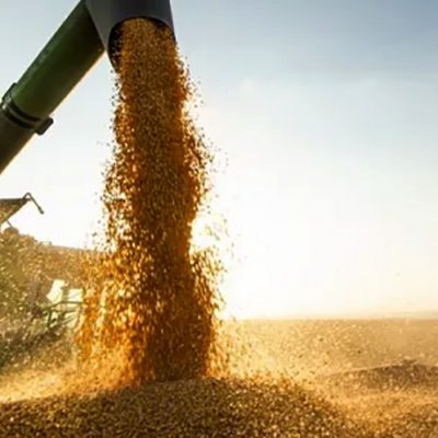 Conab estima safra de grãos em 271,4 milhões de toneladas em 2021/22/Foto: Internet