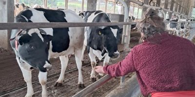 Jovens do Novos Caminhos visitam granja leiteira para conhecer o setor agropecuário/Foto: Fiesc