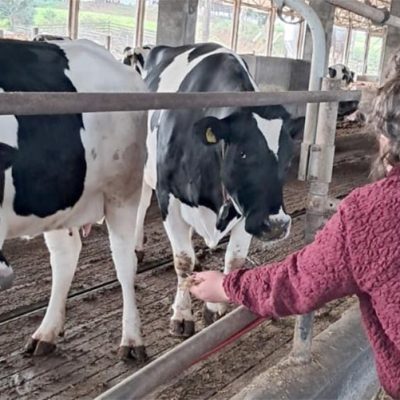 Jovens do Novos Caminhos visitam granja leiteira para conhecer o setor agropecuário/Foto: Fiesc