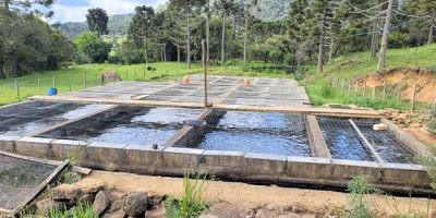 Epagri trabalha para promover o cultivo e o comércio de peixes adaptados ao clima da Serra Catarinense – Foto: Divulgação/Epagri