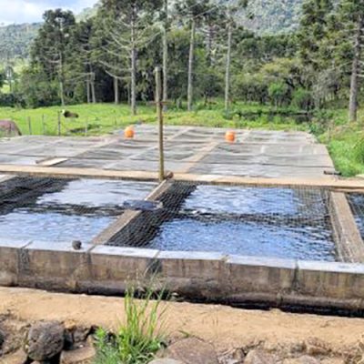 Epagri trabalha para promover o cultivo e o comércio de peixes adaptados ao clima da Serra Catarinense – Foto: Divulgação/Epagri