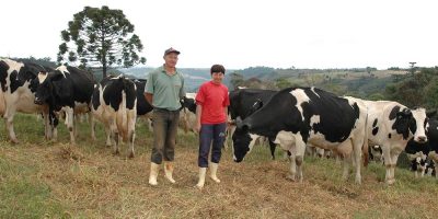 Por meio do Fundo Estadual de Desenvolvimento Rural (FDR) da Secretaria de Estado da Agricultura e Pecuária (SAR), a subvenção dos juros é de 3% sobre a operação de crédito contratada pelos agricultores/ Foto: Divulgação/Epagri