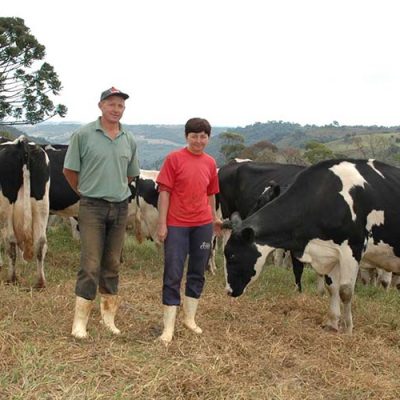 Por meio do Fundo Estadual de Desenvolvimento Rural (FDR) da Secretaria de Estado da Agricultura e Pecuária (SAR), a subvenção dos juros é de 3% sobre a operação de crédito contratada pelos agricultores/ Foto: Divulgação/Epagri