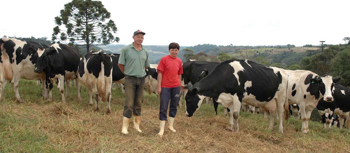 Por meio do Fundo Estadual de Desenvolvimento Rural (FDR) da Secretaria de Estado da Agricultura e Pecuária (SAR), a subvenção dos juros é de 3% sobre a operação de crédito contratada pelos agricultores/ Foto: Divulgação/Epagri