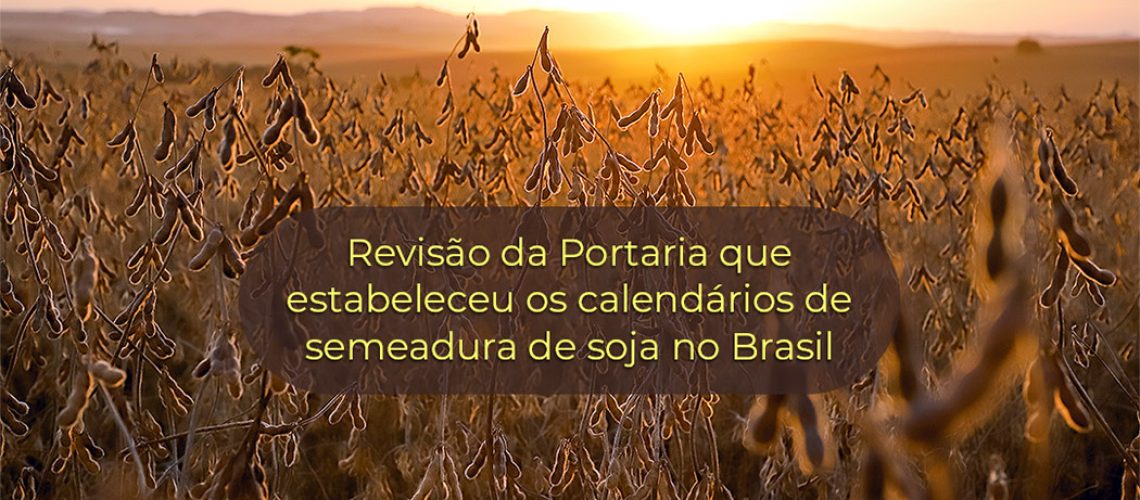Soja: Santa Catarina solicita a revisão do calendário de semeadura