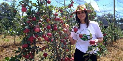 Cidasc participa da 24ª Festa Nacional da Maçã e celebra avanços para exportação da fruta/Foto: Maely Silva-Bom Dia SC