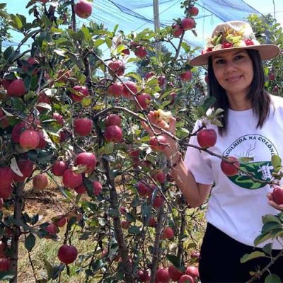 Cidasc participa da 24ª Festa Nacional da Maçã e celebra avanços para exportação da fruta/Foto: Maely Silva-Bom Dia SC