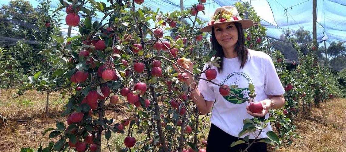 Cidasc participa da 24ª Festa Nacional da Maçã e celebra avanços para exportação da fruta/Foto: Maely Silva-Bom Dia SC