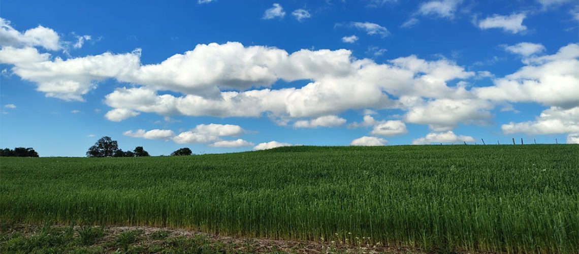 Coocam reforça sustentabilidade no Programa Campo Limpo/ Foto: Maythe Novak - Bom Dia SC