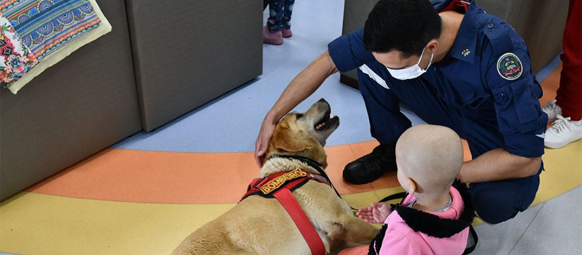 Cães do CBMSC levam alegria a crianças em tratamento no Hospital Infantil Joana de Gusmão/ Foto: Soldado Eduardo de Souza