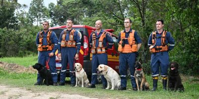 Binômios do CBMSC participam pela 1º da competição Sul-Americana de cães de trabalho/ Foto: Divulgação / CBMSC