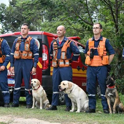 Binômios do CBMSC participam pela 1º da competição Sul-Americana de cães de trabalho/ Foto: Divulgação / CBMSC